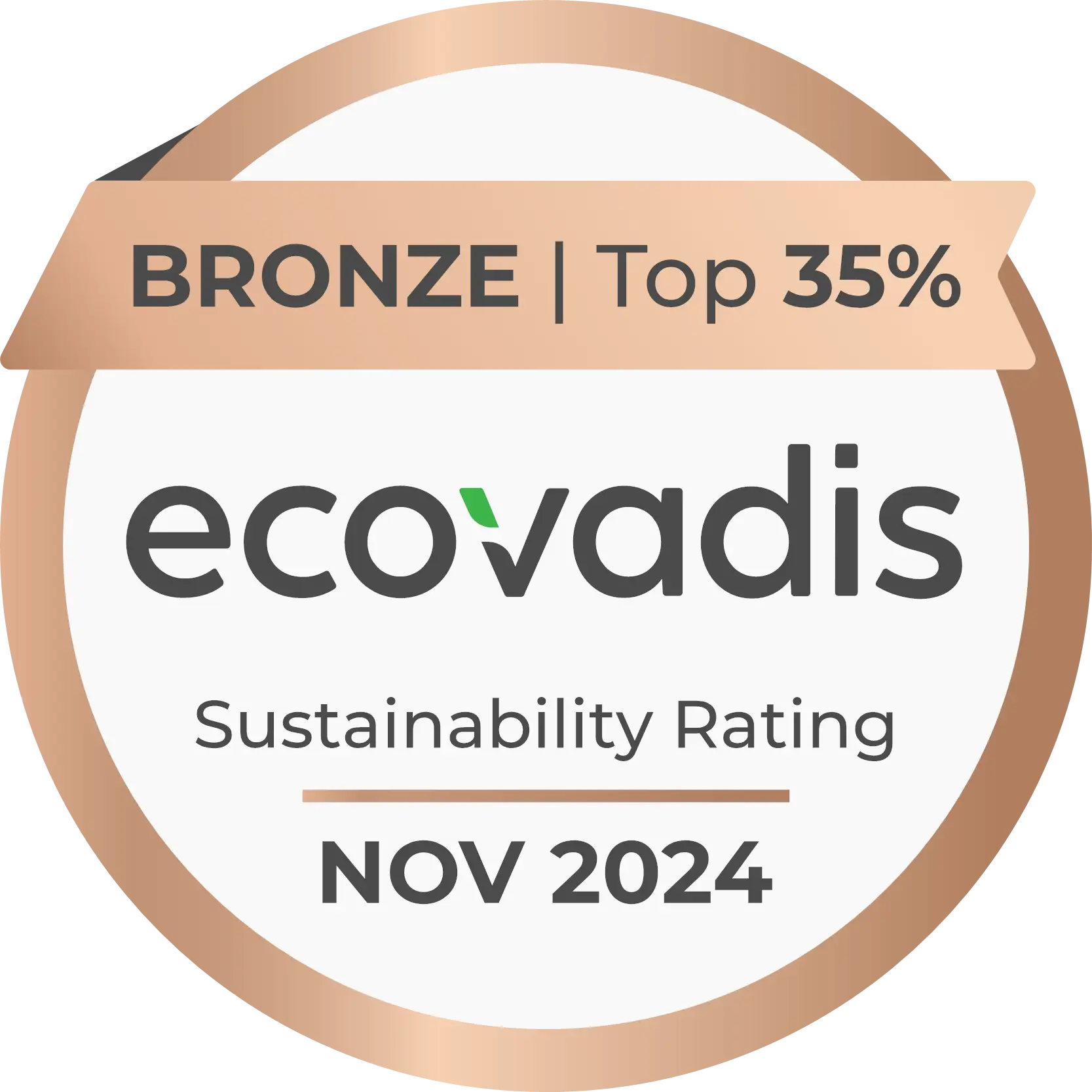EcoVadis 2024 : une médaille de bronze pour Tesisquare 1 __wf_reserved_inherit