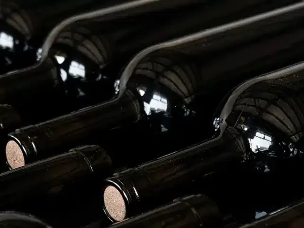 668e62b6f1dee36133b34f49_Tesisquare-Autentico_Cantine-Santadi
